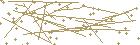 rak-captcha-code